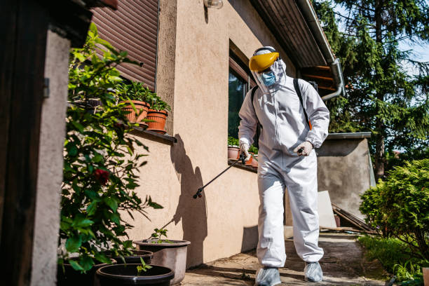 Best Termite Control Services  in USA